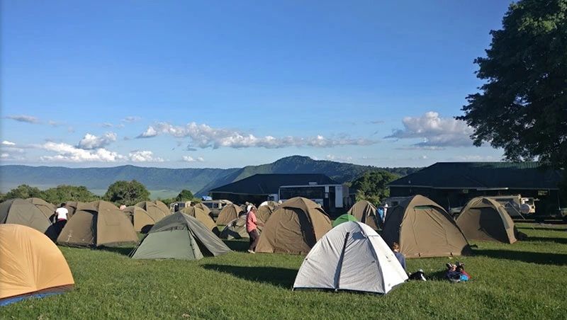 Simba A Public Campsite