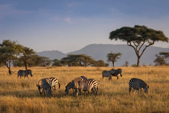 Serengeti National Park