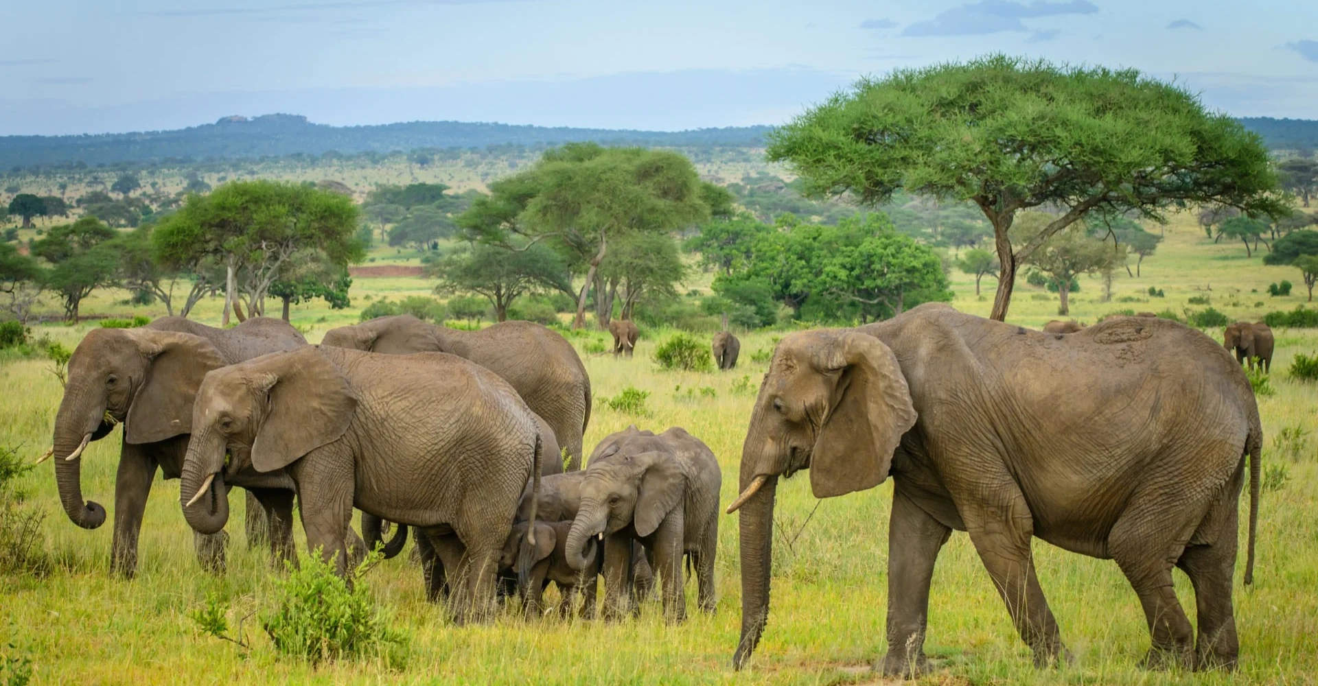 Tarangire National Park