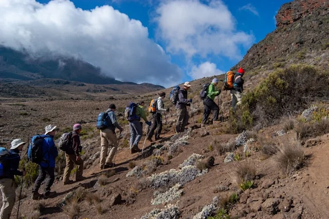 10-Day Kilimanjaro + Safari Blueprint