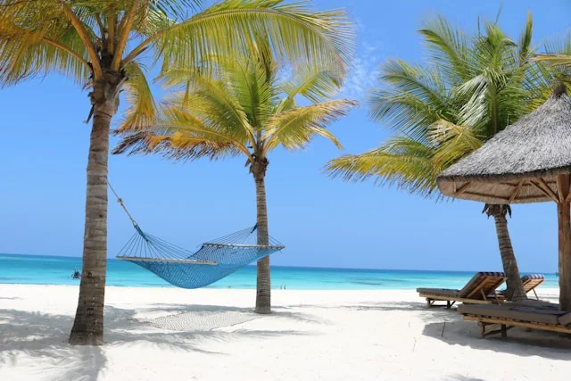 10-Day Safari + Zanzibar Blueprint