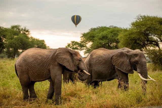 4-Day Short Northern Tanzania Blueprint